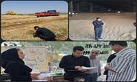 بازدید مدیر جهاد کشاورزی شهرستان چناران از مراکز تحویل گندم